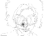 Ana outline